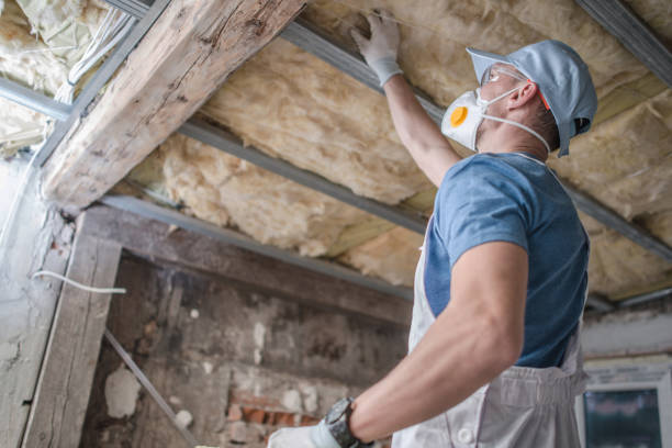 Best Insulation for Specific Applications in Baird, TX